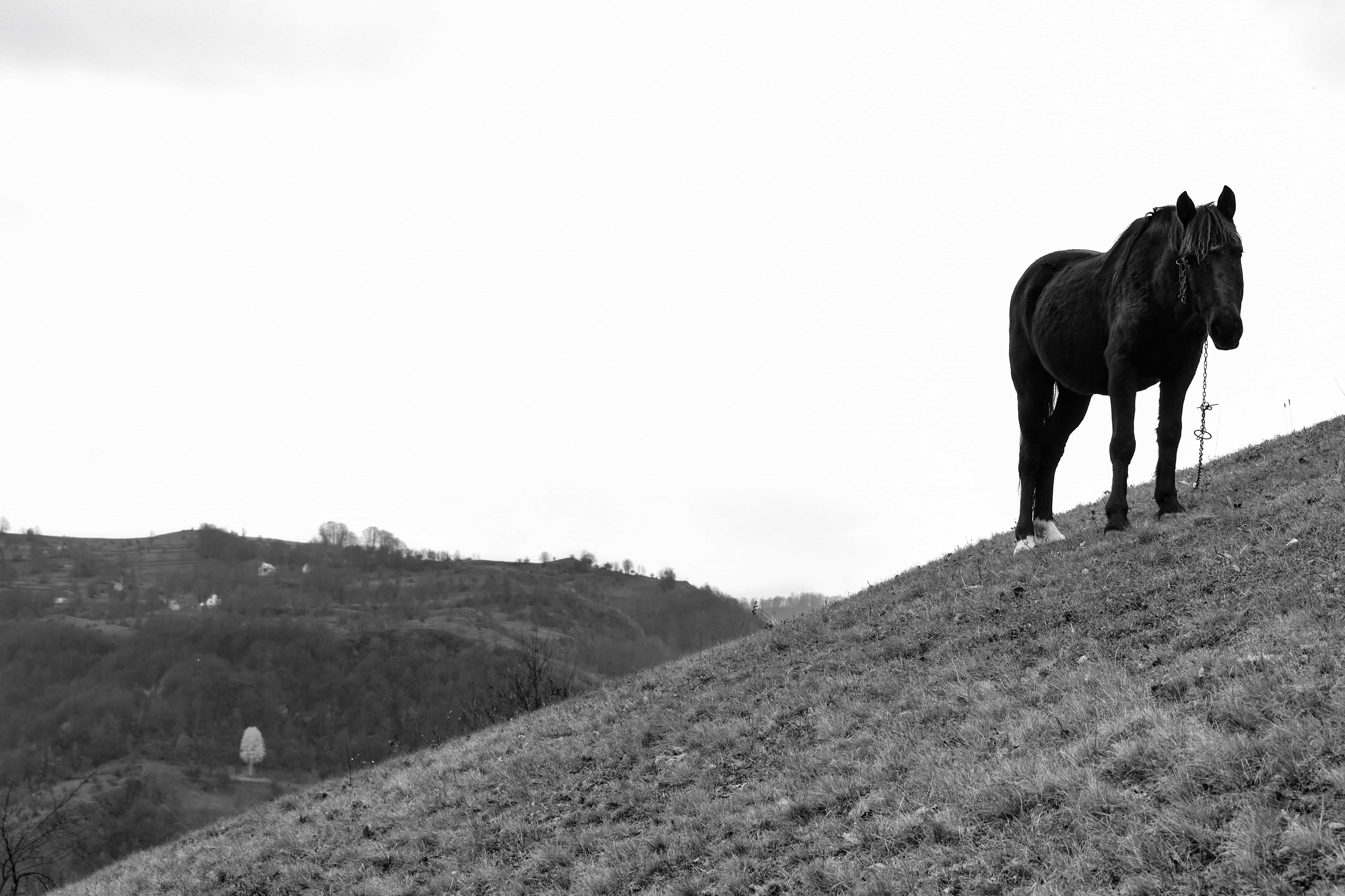 Fotografija iz seoske serije